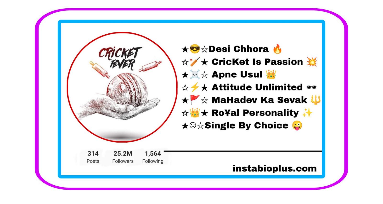 Cricket Bio For Instagram Copy And Paste