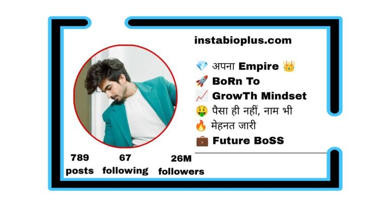 Instagram Bio For Money